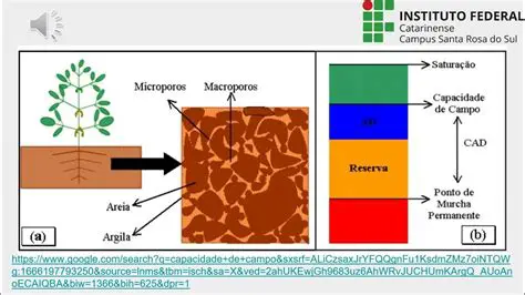 Capacidade de campo do solo