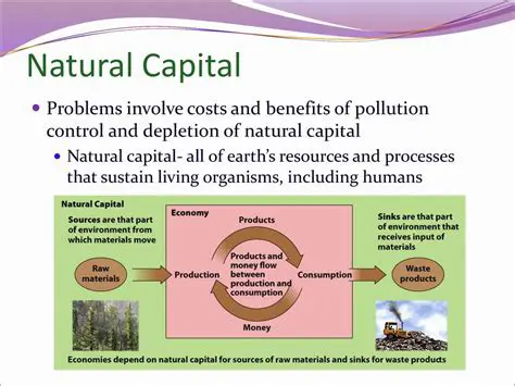 Capital problems are a major challenge for farmers