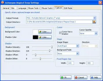 Capturing Screenshots with Ashampoo Magical Snap 2