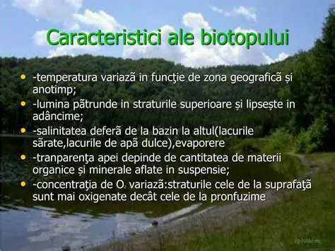 Caracteristici Unice ale Lacului