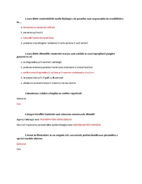 Caracteristicile Modestiei Priveghetori