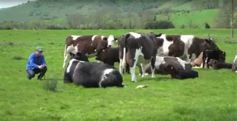 Caracteristicile Sale Unice