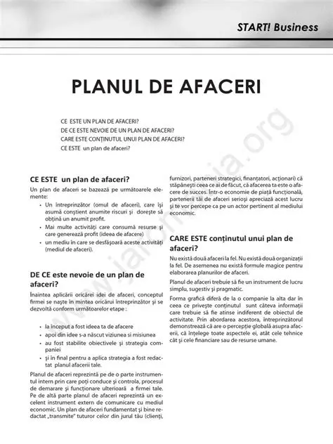 Caracteristicile unui plan de afaceri eficient