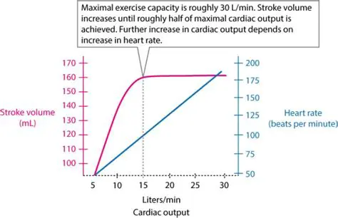 Cardiac Output Response to Exercise