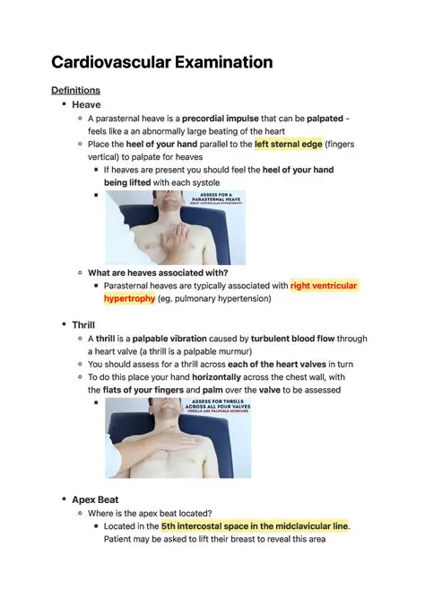 Cardiovascular examination