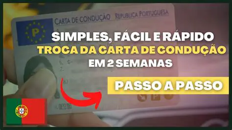 Cartas de Condução em Portugal: O Guia Completo para Obter e Renovar