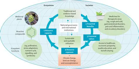 Catchment Descriptors and Their Significance
