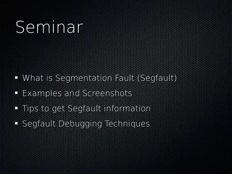 Causes of Segmentation Fault in MPV