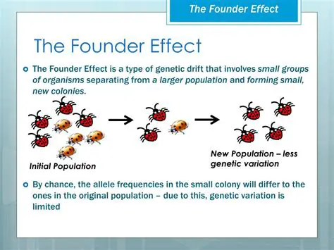 Causes of the Founder Effect