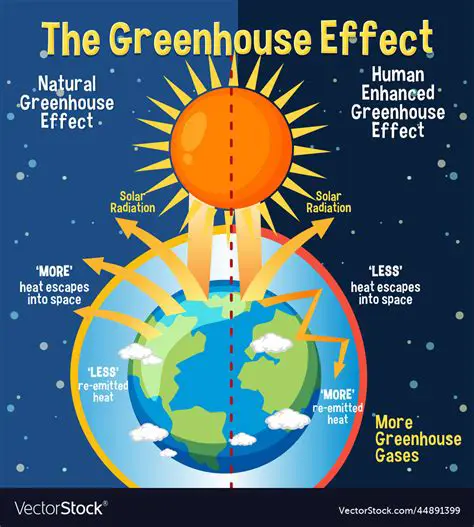 Causes of the Greenhouse Effect