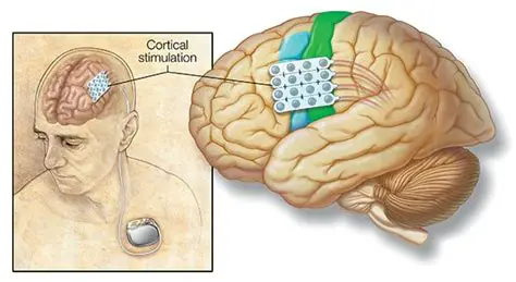 Cerebral Cortex Stimulation