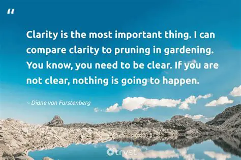 Challenges and the Need for Clarity