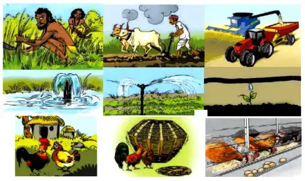 Changes in Agricultural Practices