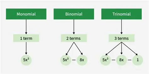 Characteristics of a Monomial