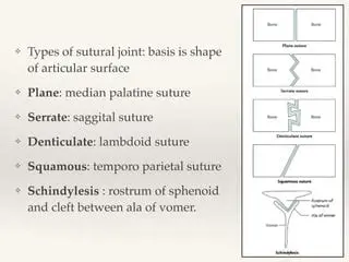 Characteristics of a Serrate Suture
