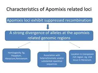 Characteristics of Apomixis