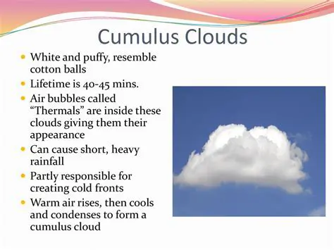 Characteristics of Cumulus Clouds
