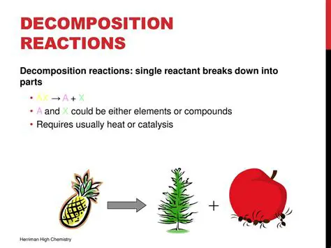 Characteristics of Decomposition Reactions