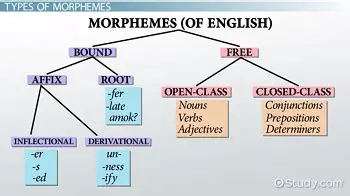 Characteristics of Free Morphemes