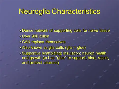 Characteristics of Neuroglia