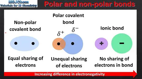 Characteristics of Nonpolar Covalent Molecules