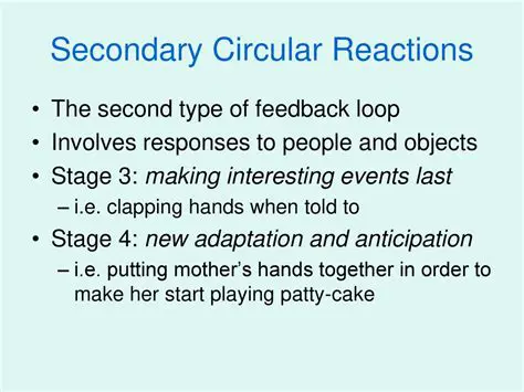 Characteristics of Secondary Circular Reactions