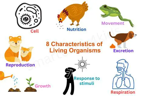 Characteristics of the Organism