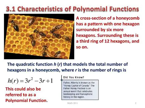 Characteristics of the Polynomial