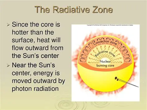 Characteristics of the Radiative Zone