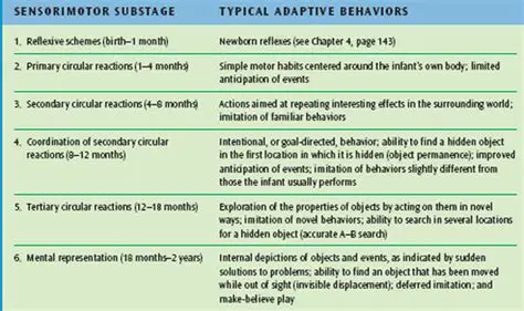 Characteristics of the Sensorimotor Stage