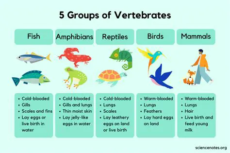 Characteristics of Vertebrates