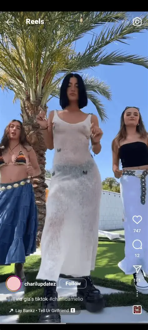 The Enduring Phenomenon of Charli D'Amelio TikTok Compilations: A Deep Dive