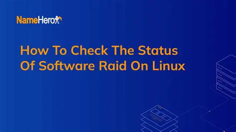 Check the RAID array status