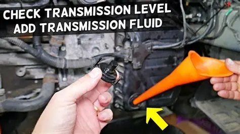 Check the Transmission Fluid