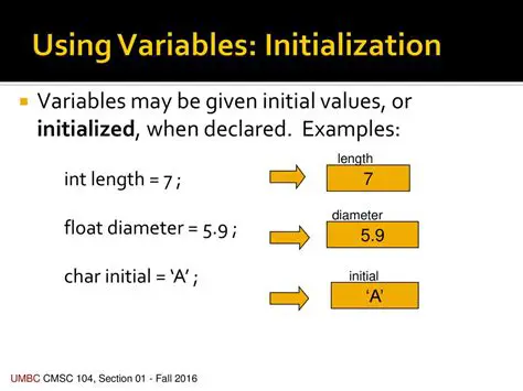 Check Variable Initialization