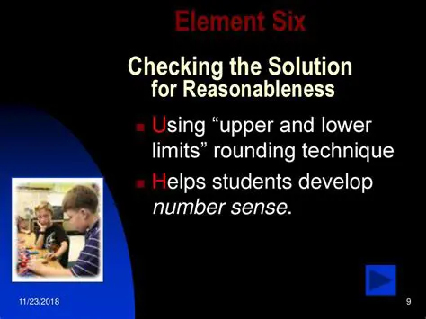 Checking the Reasonableness of the Solution