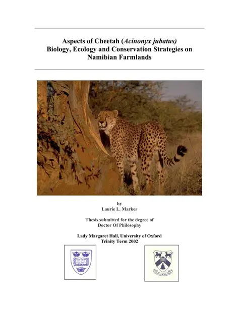 Cheetah Biology and Ecology