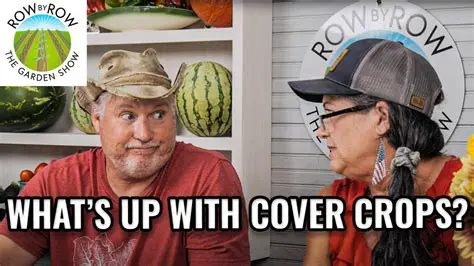 Choose the right cover crop