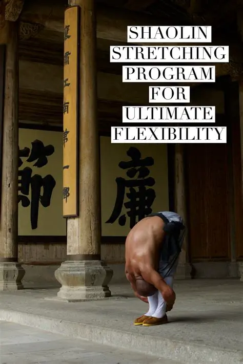 Choose Your Study Edition for Ultimate Flexibility