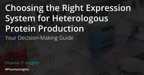 Choosing the Right Expression