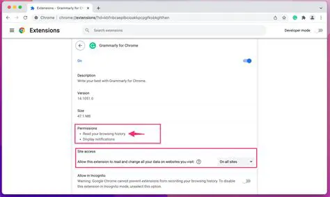 Chrome Extension Permissions