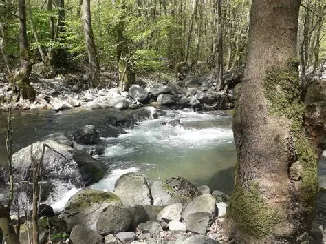 Çınarcık Barajı: Yalova'nın Su Kaynağı ve Bölgesel Kalkınmaya Katkıları