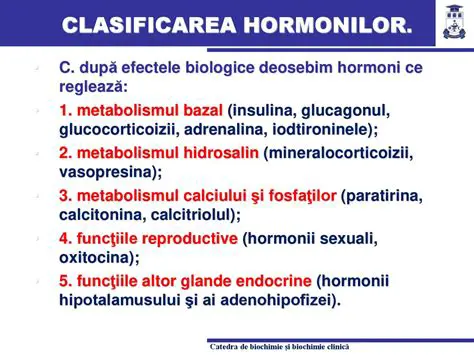 Clasificarea Rationamentelor Ductive