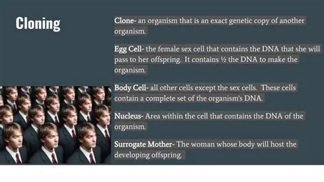 Cloning of superior offspring