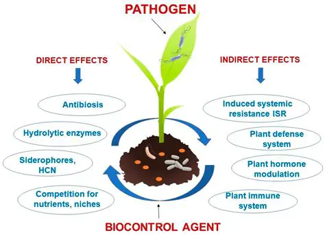 Combination with other biocontrol agents