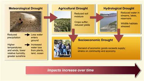Common Environmental Impacts of Drought