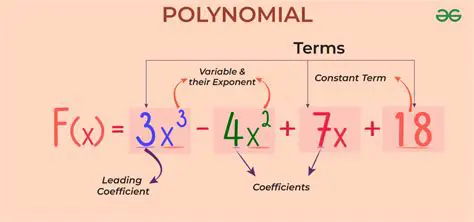 Common Misconceptions about Polynomial Functions