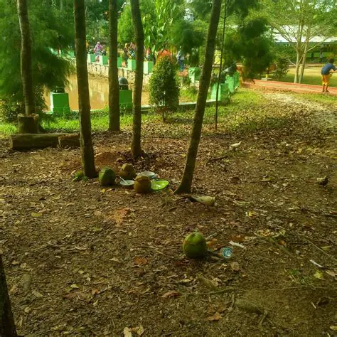 Community Participation Based Waste Management Planning Model in Langsa City Forest Park Aceh