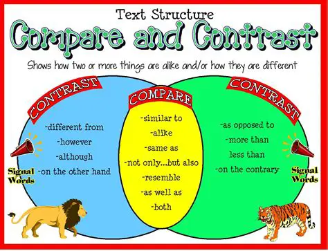 Comparing and Contrasting the Two Cases