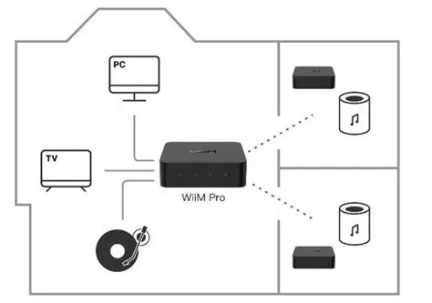 Comparing the API Documentation and the Wiim Pro API Repository
